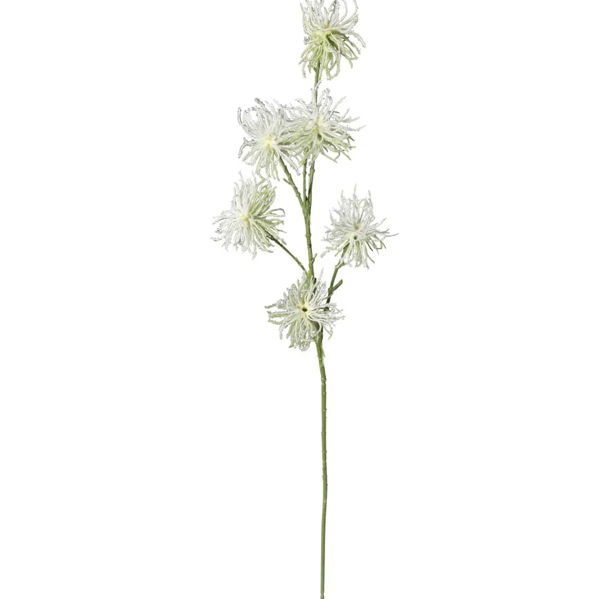 Branche Déco Infrutescence De Clématite 87 Cm-DecoWoerner Online
