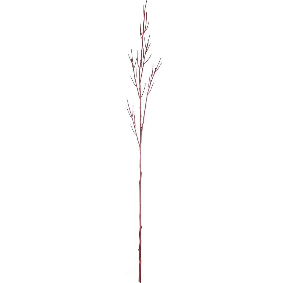 Branche Décoration Branche Cornus 130 Cm-DecoWoerner Best