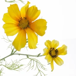 Branche Décorative Artificielle Cosmos 90 Cm Jaune-DecoWoerner Outlet