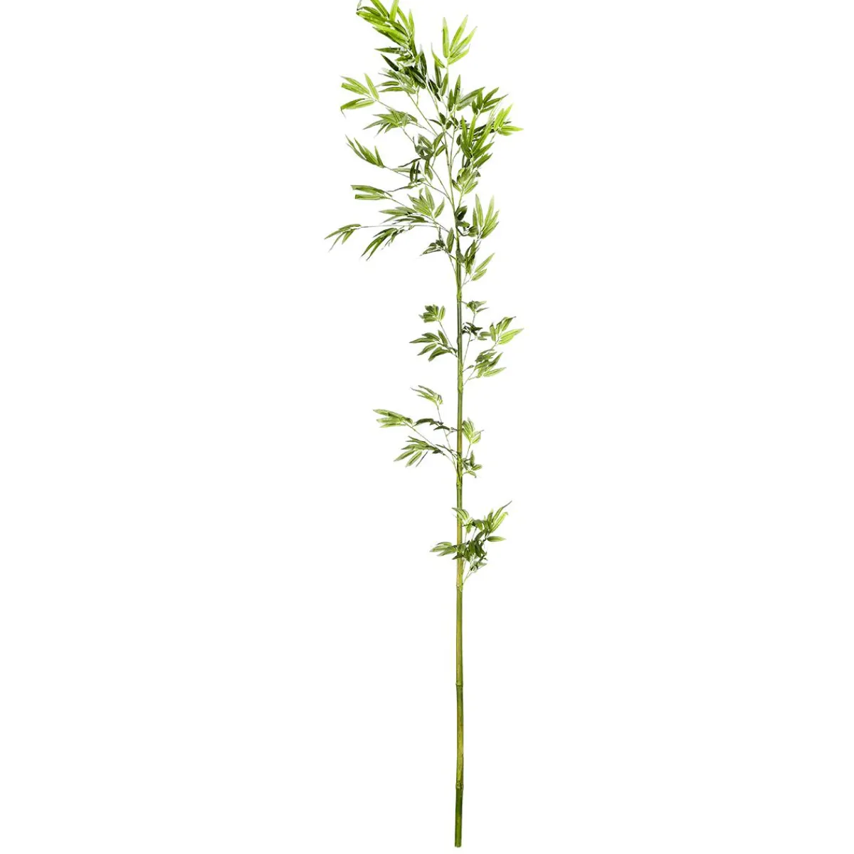 Branche De Bambou, 190 Cm-DecoWoerner Outlet