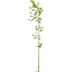 Branche De Bambou, 190 Cm-DecoWoerner Outlet