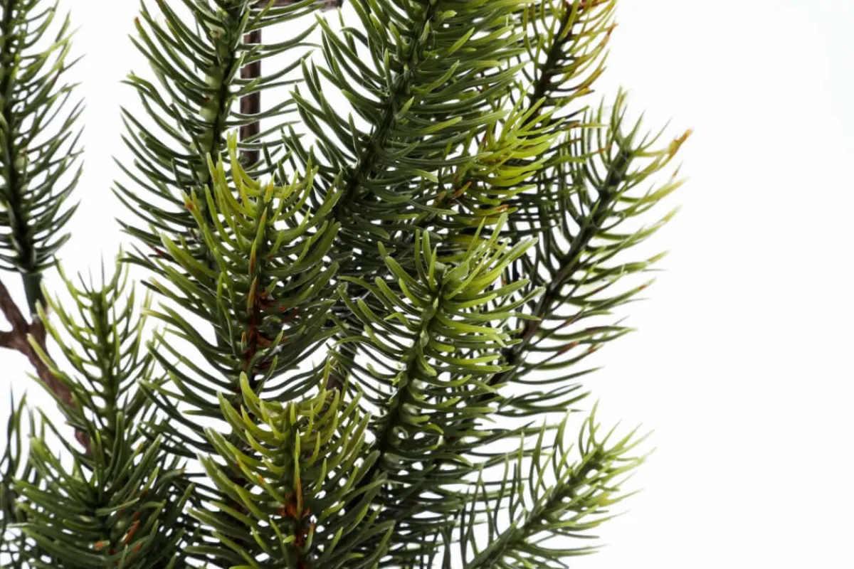 Branche De Sapin Artificielle, 66 Cm De Long-DecoWoerner Best