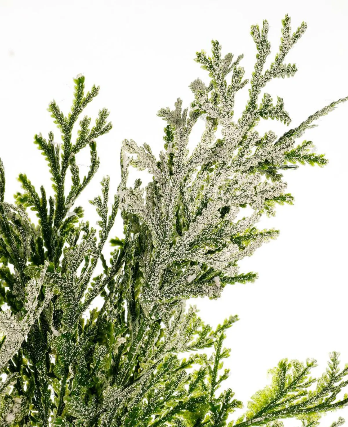 Branche De Thuya Artificielle, 35 Cm De Long-DecoWoerner