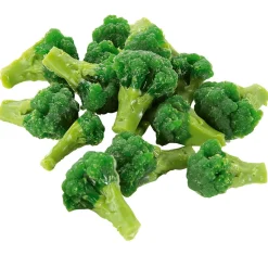 Brocolis Blanchis Aliment Factice, 100 G-DecoWoerner Best
