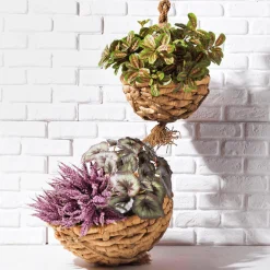 Bruyère Déco 30 Cm-DecoWoerner Hot