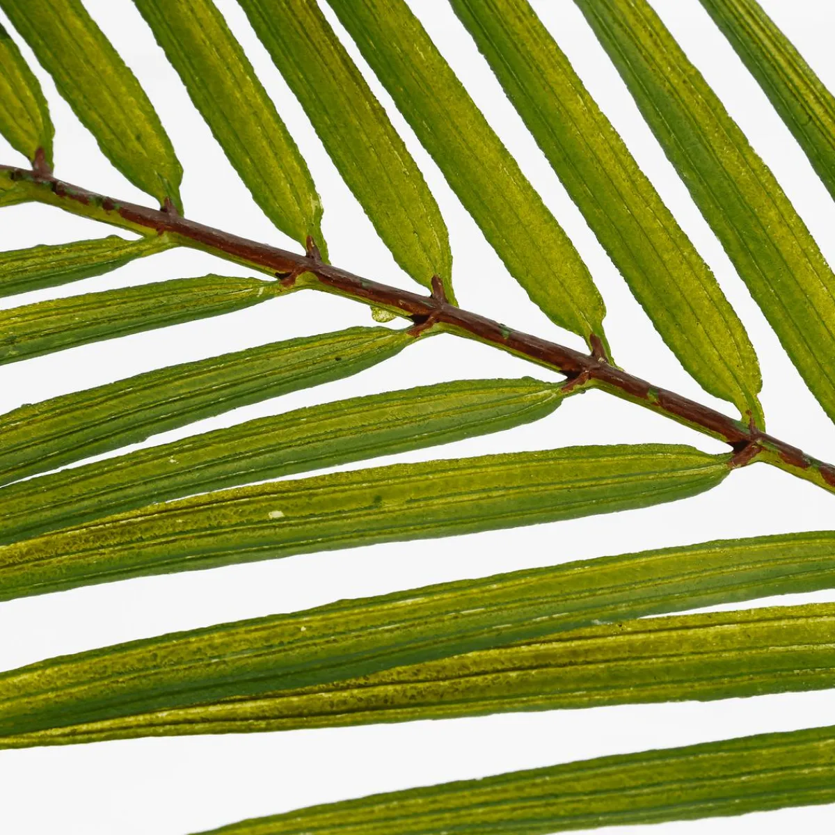 Buisson De Feuilles De Palmier Artificiel 80 Cm-DecoWoerner Discount