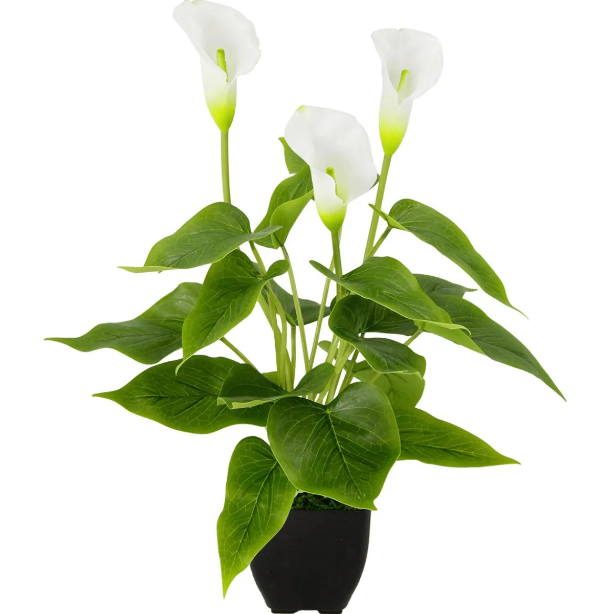 Calla Plante Artificielle he 40 Cm En Pot-DecoWoerner Discount
