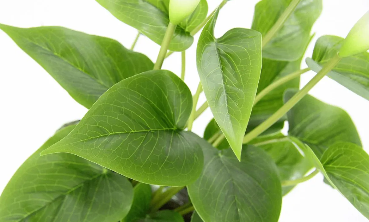 Calla Plante Artificielle he 40 Cm En Pot-DecoWoerner Discount