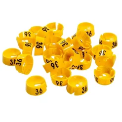 Cavaliers à Chiffres, Taille 36-DecoWoerner Sale