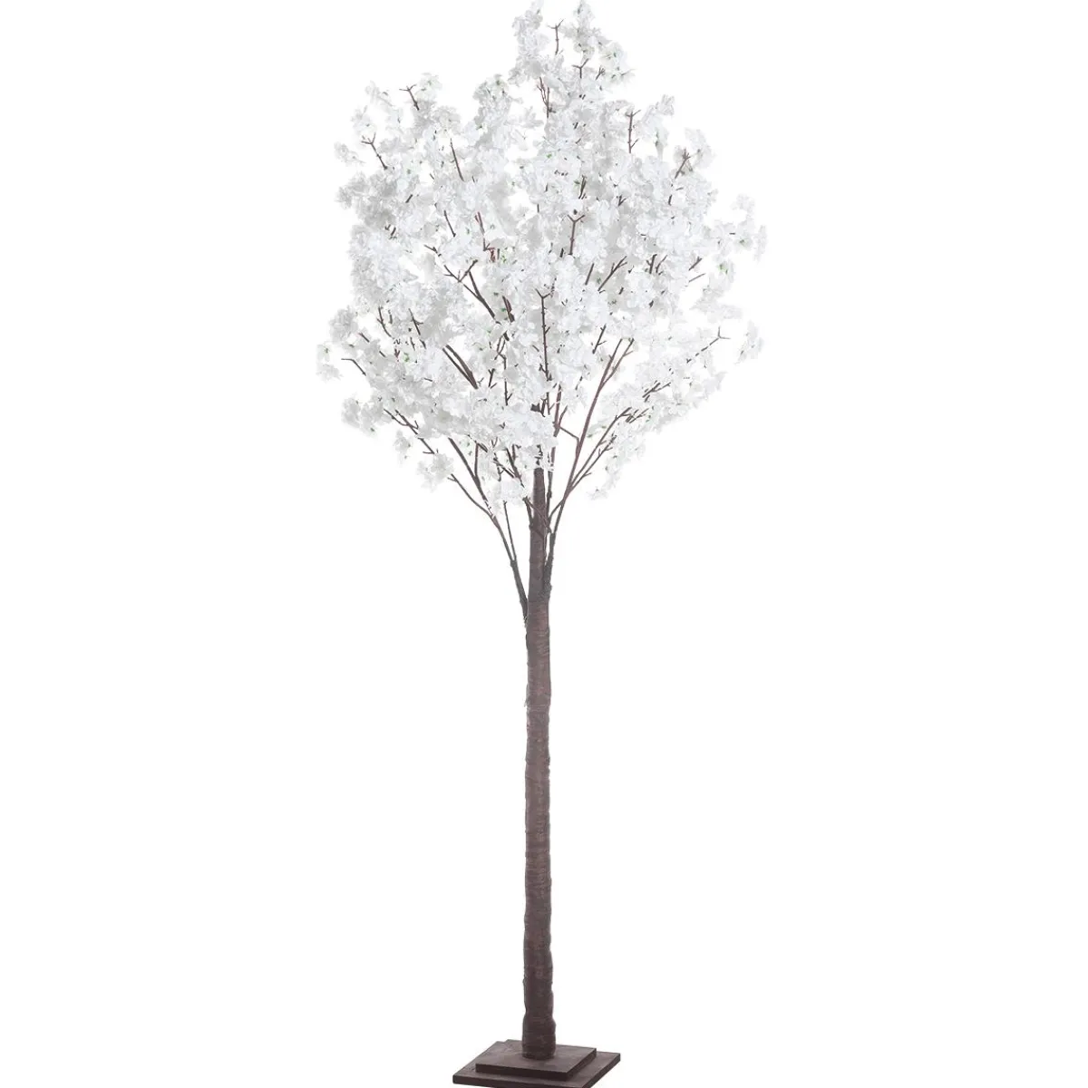 Cerisier à Fleurs, 200 Cm-DecoWoerner Best