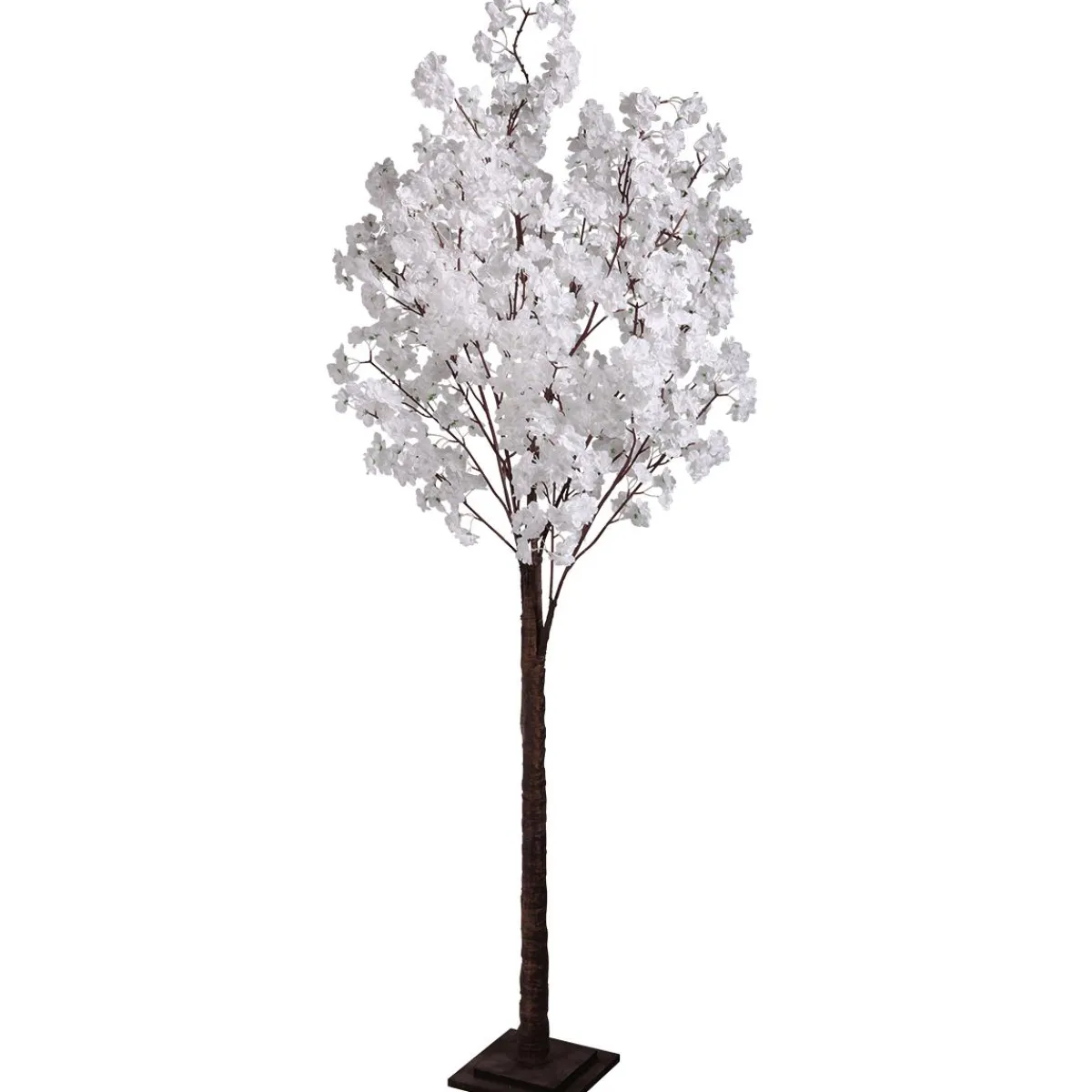 Cerisier à Fleurs, 200 Cm-DecoWoerner Best