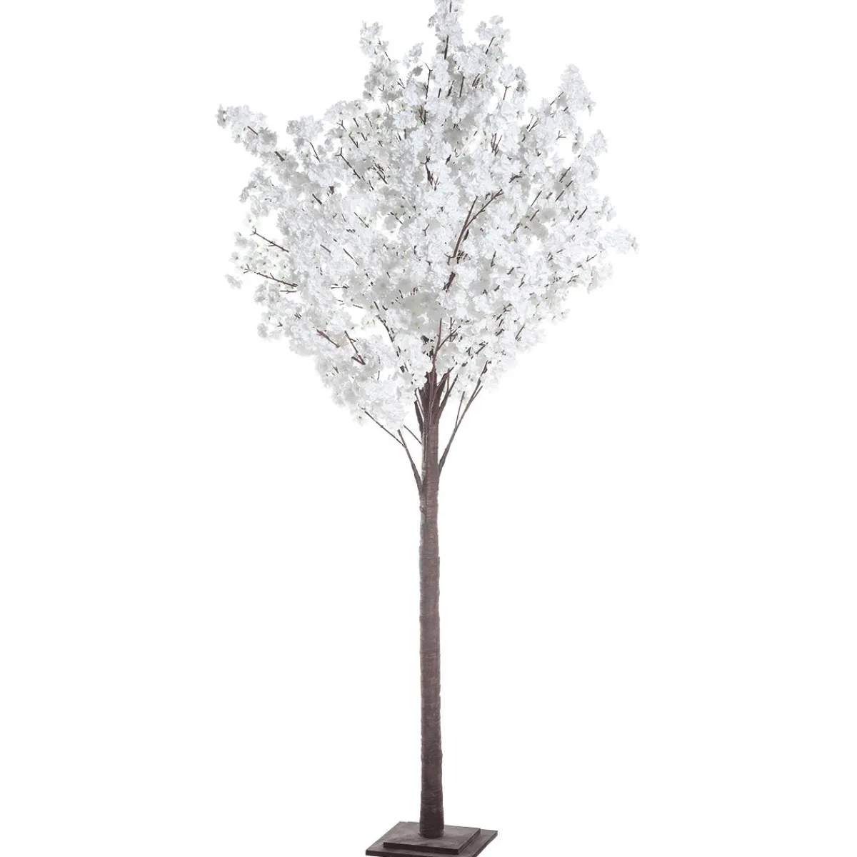 Cerisier à Fleurs, 240 Cm-DecoWoerner Best