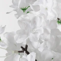 Cerisier à Fleurs, 240 Cm-DecoWoerner Best