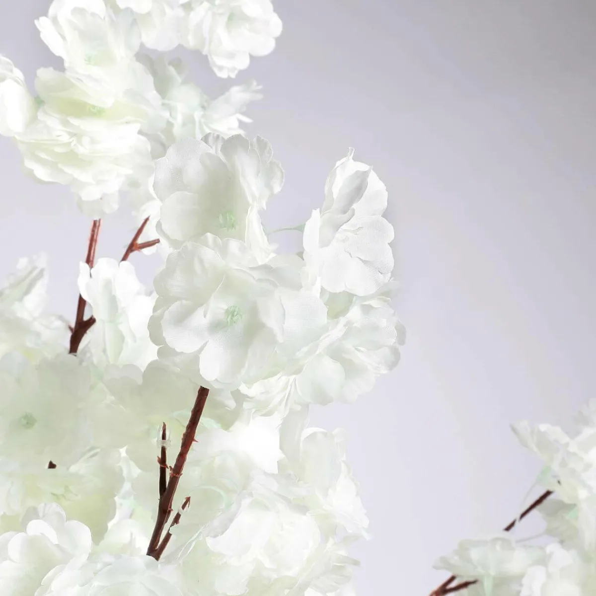 Cerisier à Fleurs, 180 Cm-DecoWoerner Online