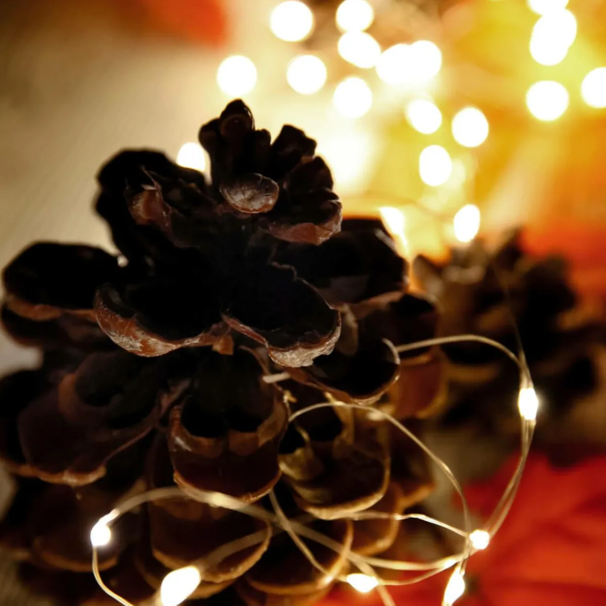 Chaîne Lumineuse à Fil à LED Sur Pile Pour L'ext., 100 LED, 10 M-DecoWoerner Best