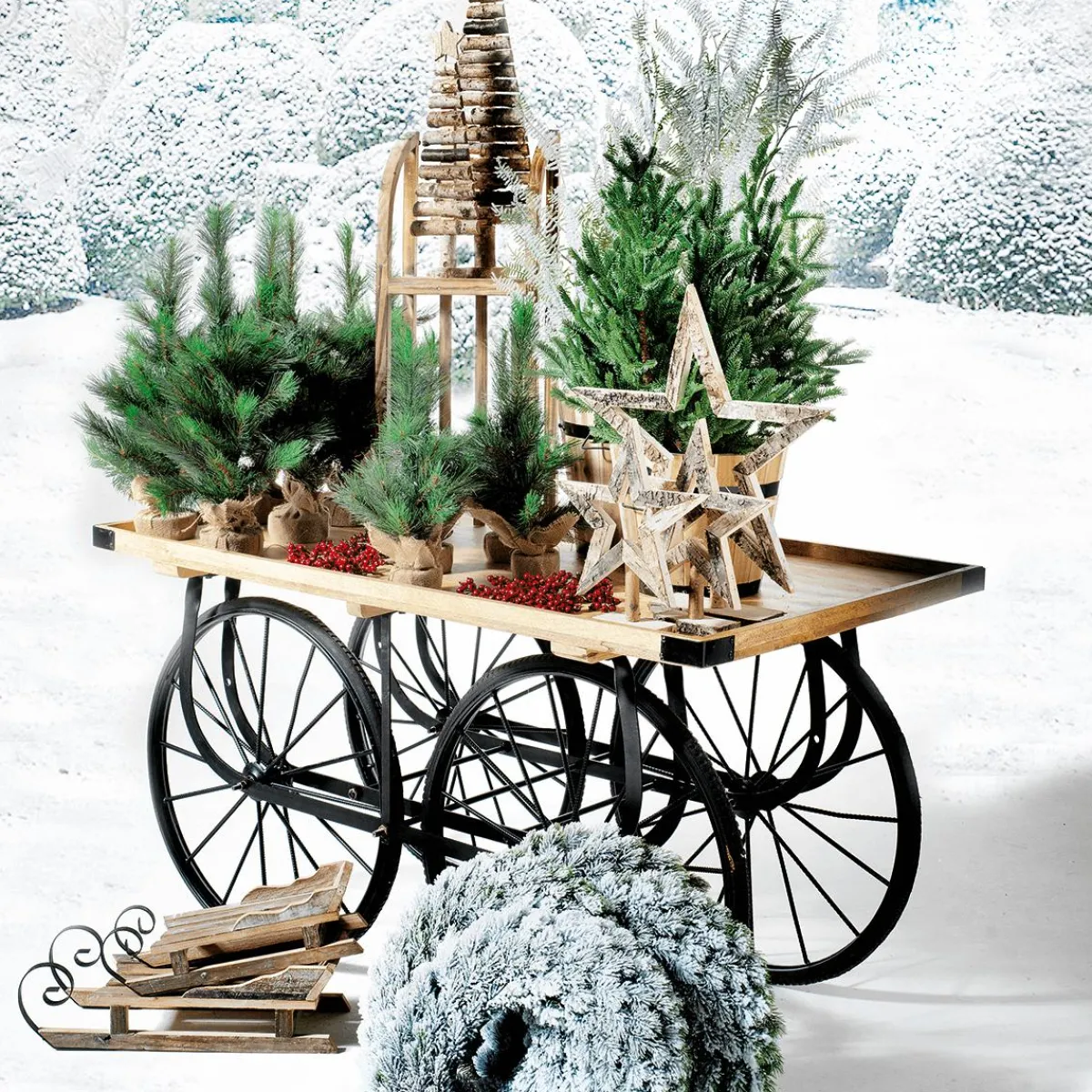 Chariot De Marché Basic 90 X 150 Cm-DecoWoerner