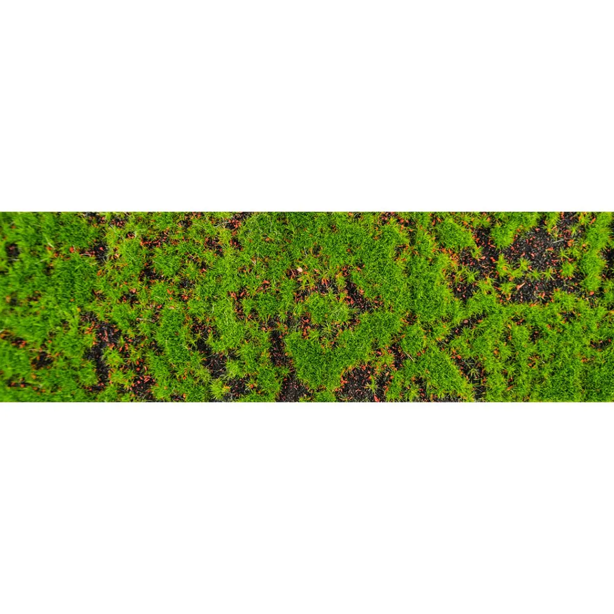 Chemin De Table "Tapis De Mousse" 1 Mètre-DecoWoerner