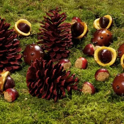 Châtaignes Déco, Ø 5 Cm, 22 Pces-DecoWoerner