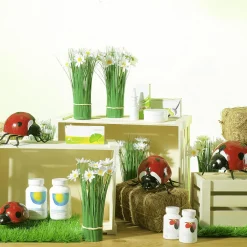 Coccinelle Déco 20 - 25 Cm, 2 Pces-DecoWoerner Outlet