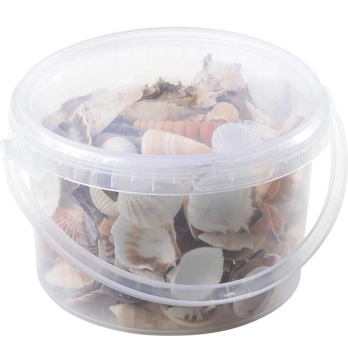 Coquillages Et Escargots Déco, 1400 G-DecoWoerner Hot