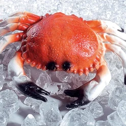 Crabe Alimentaire Factice 20 Cm-DecoWoerner