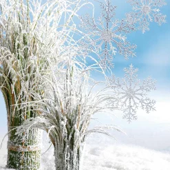 Cristaux De Glace Ø 21 Cm 3 Pces Plastique-DecoWoerner New