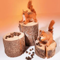 Écureuil Déco Haut. 24 Cm-DecoWoerner