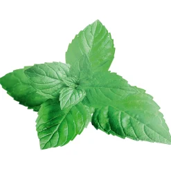 Décor à Suspendre "Menthe" 42 X 55 Cm-DecoWoerner New