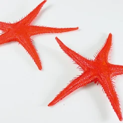 Etoile De Mer Factice, 2 Pces-DecoWoerner Clearance