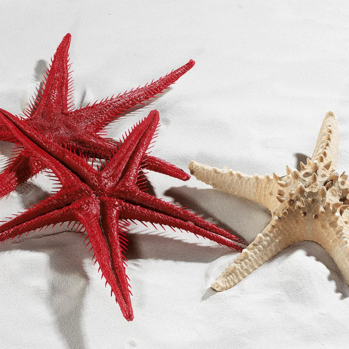 Etoile De Mer Factice, 2 Pces-DecoWoerner Clearance