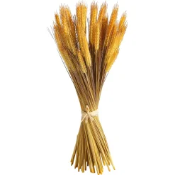 Fagot De Blé Déco 60 Cm-DecoWoerner
