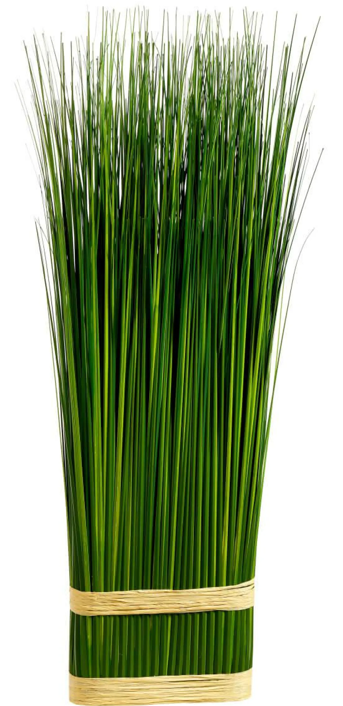 Fagot D'herbe Déco 76 Cm-DecoWoerner Sale
