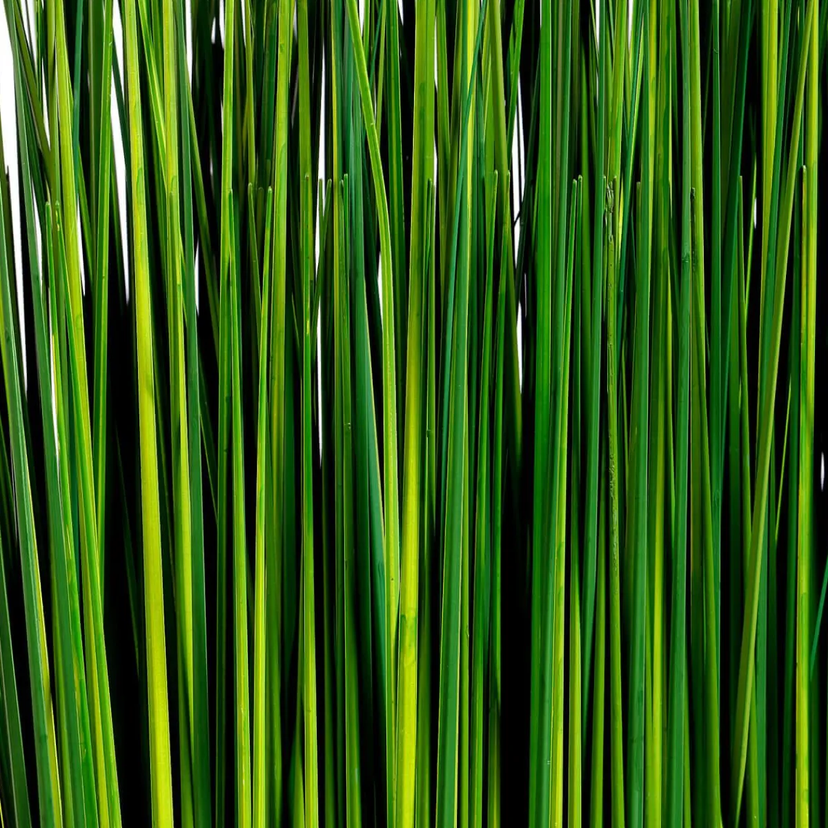 Fagot D'herbe Déco 76 Cm-DecoWoerner Sale