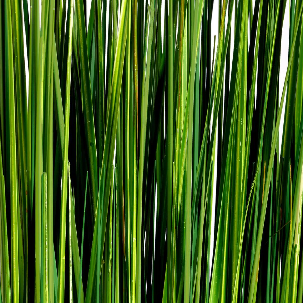 Fagot D'herbe Déco 100 Cm-DecoWoerner Online