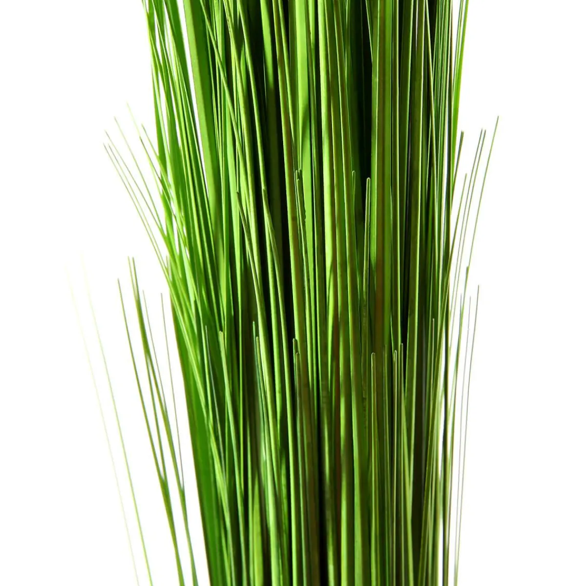 Fagot D’herbe Déco Extra Long, 90 Cm-DecoWoerner