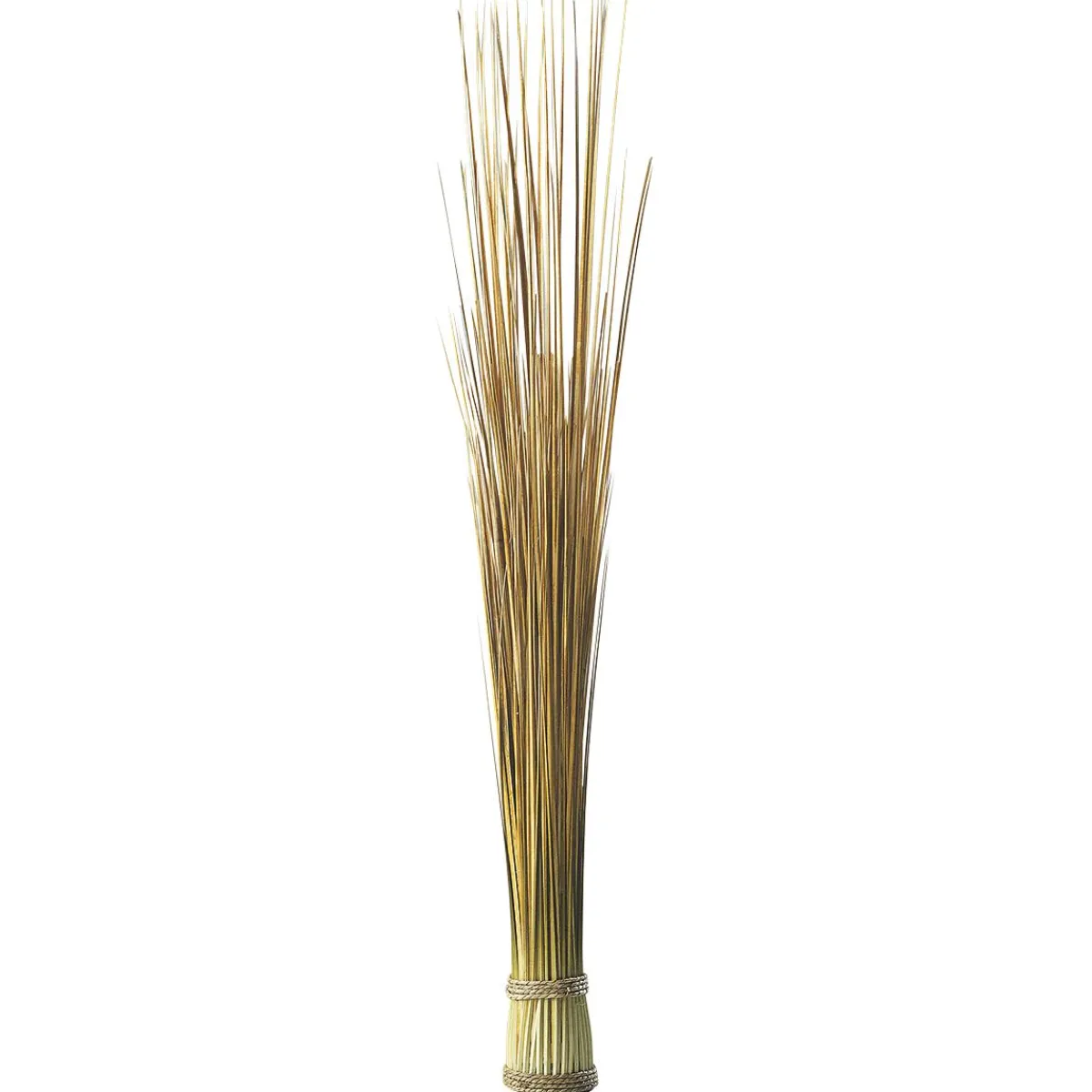 Fagot D’herbe Déco Extra Long, 90 Cm-DecoWoerner Best