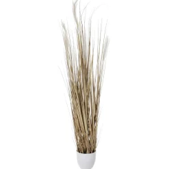 Fagot D'herbe Sèche De 150 Cm De Haut, Dans Un Pot Blanc De Ø 20 Cm-DecoWoerner Outlet