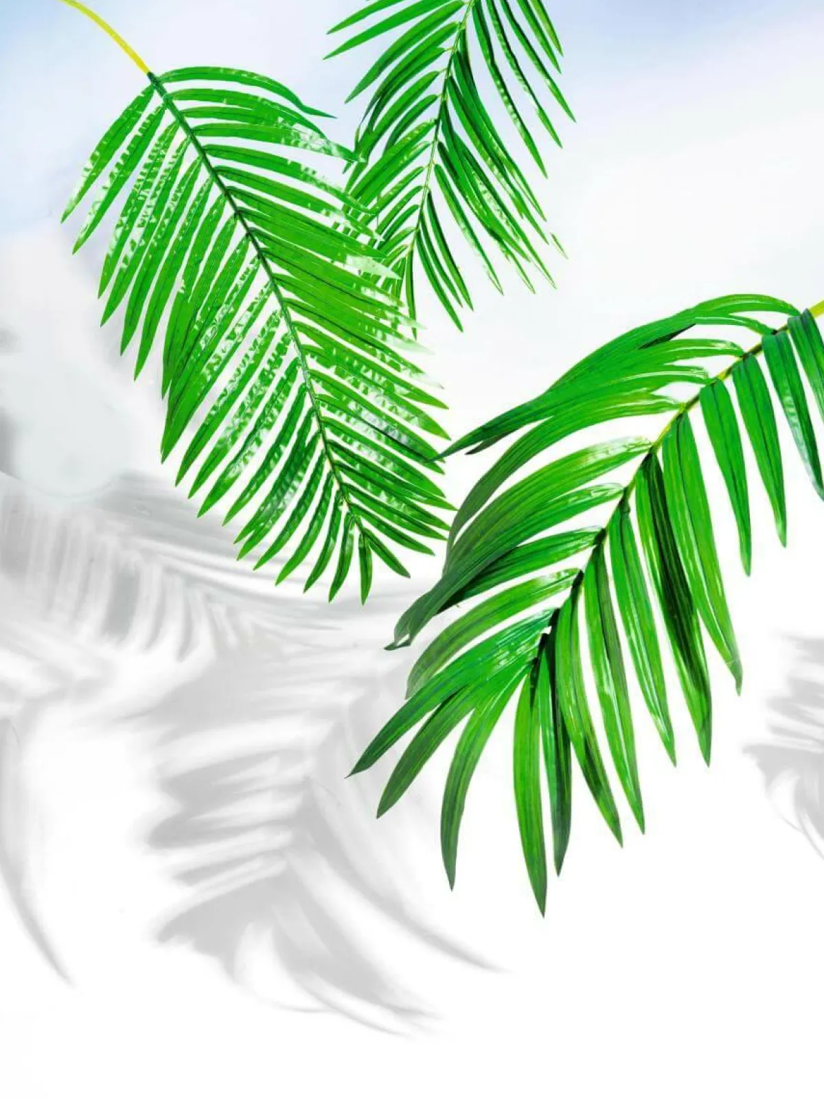 Feuille D'areca Déco, Long. 98 Cm-DecoWoerner Outlet