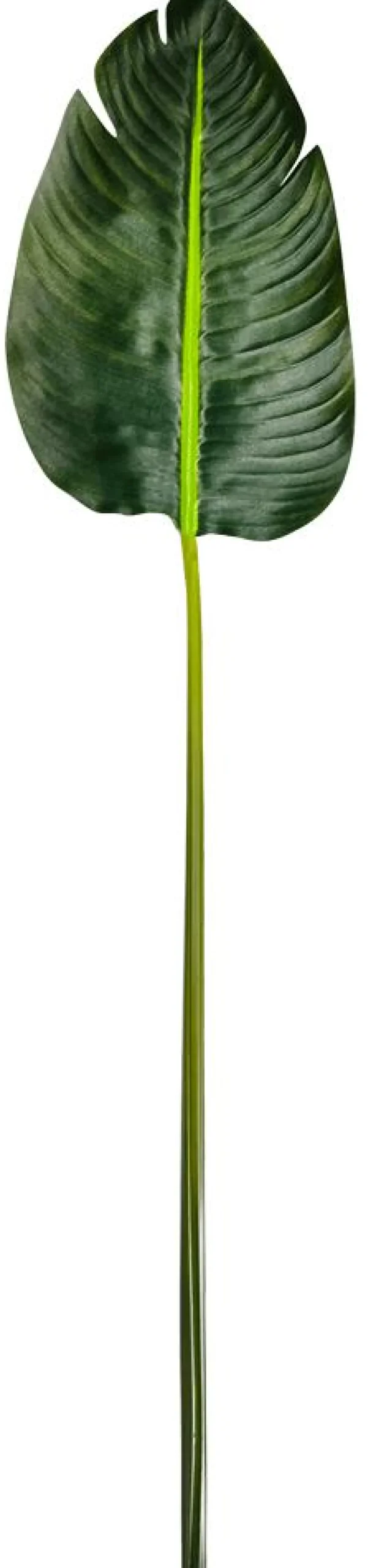 Feuille De Bananier Artificielle, 75 Cm De Long-DecoWoerner New