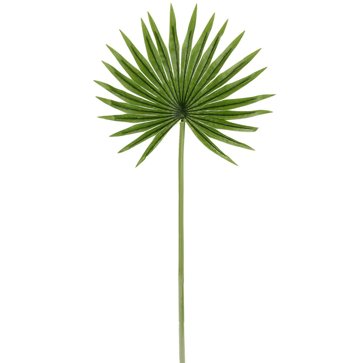 Feuille De Palmier Nain Déco, Long. 66 Cm, 2 Pces-DecoWoerner Hot