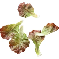 Feuilles De Salade Rouge - Vert Factices, 5 Pièces-DecoWoerner Sale