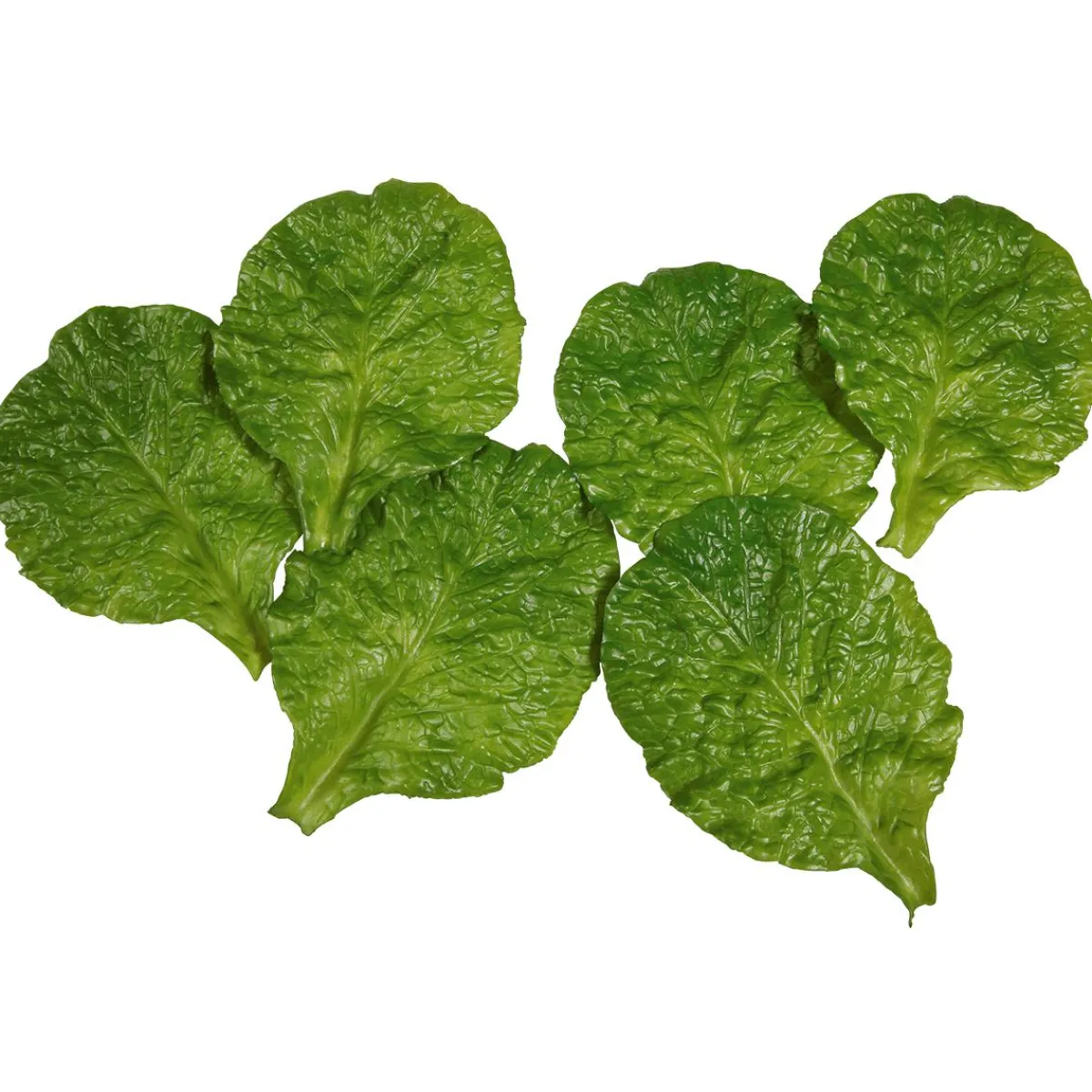 Feuilles D'épinards Aliment Factice, 6 Pces-DecoWoerner