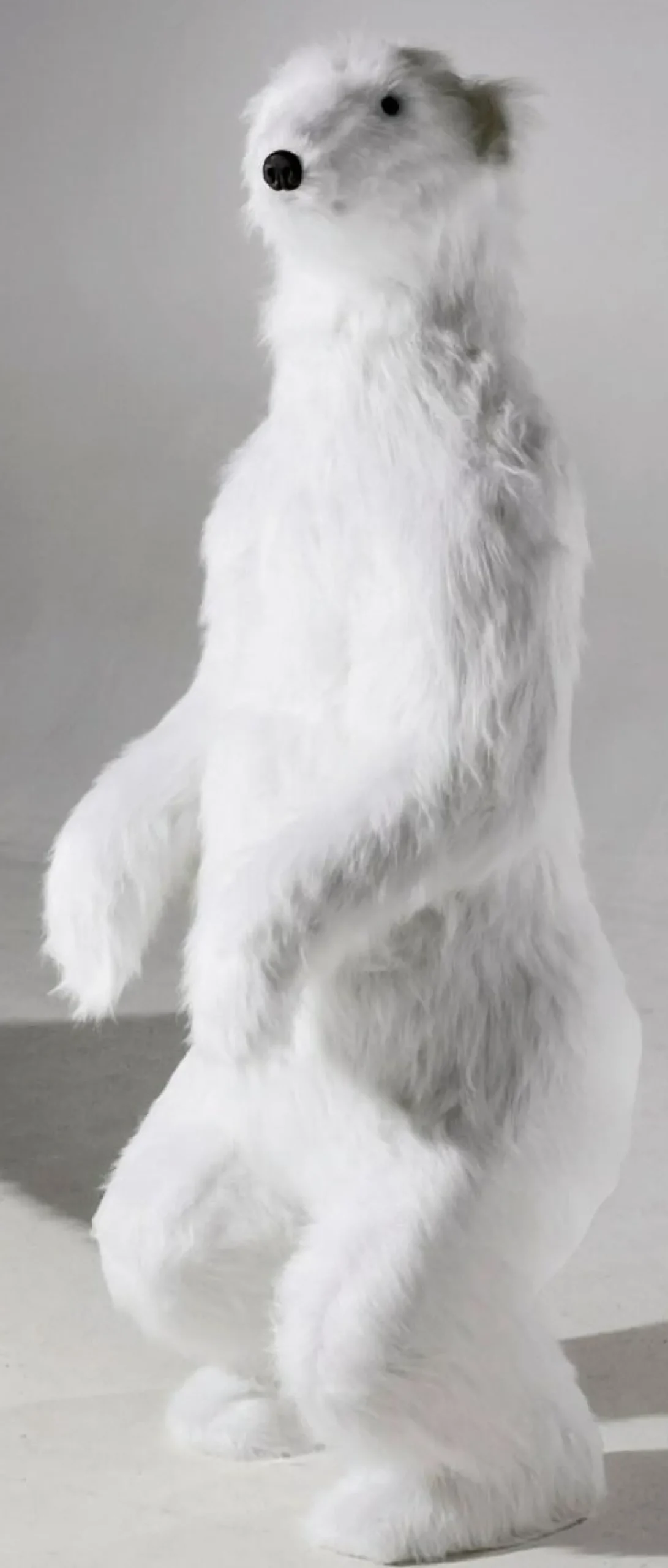 Figure Animale Grandeur Nature D'un Ours Polaire, Haut. 190 Cm-DecoWoerner New