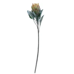 Fleur Artificielle Protea e, 72 Cm-DecoWoerner