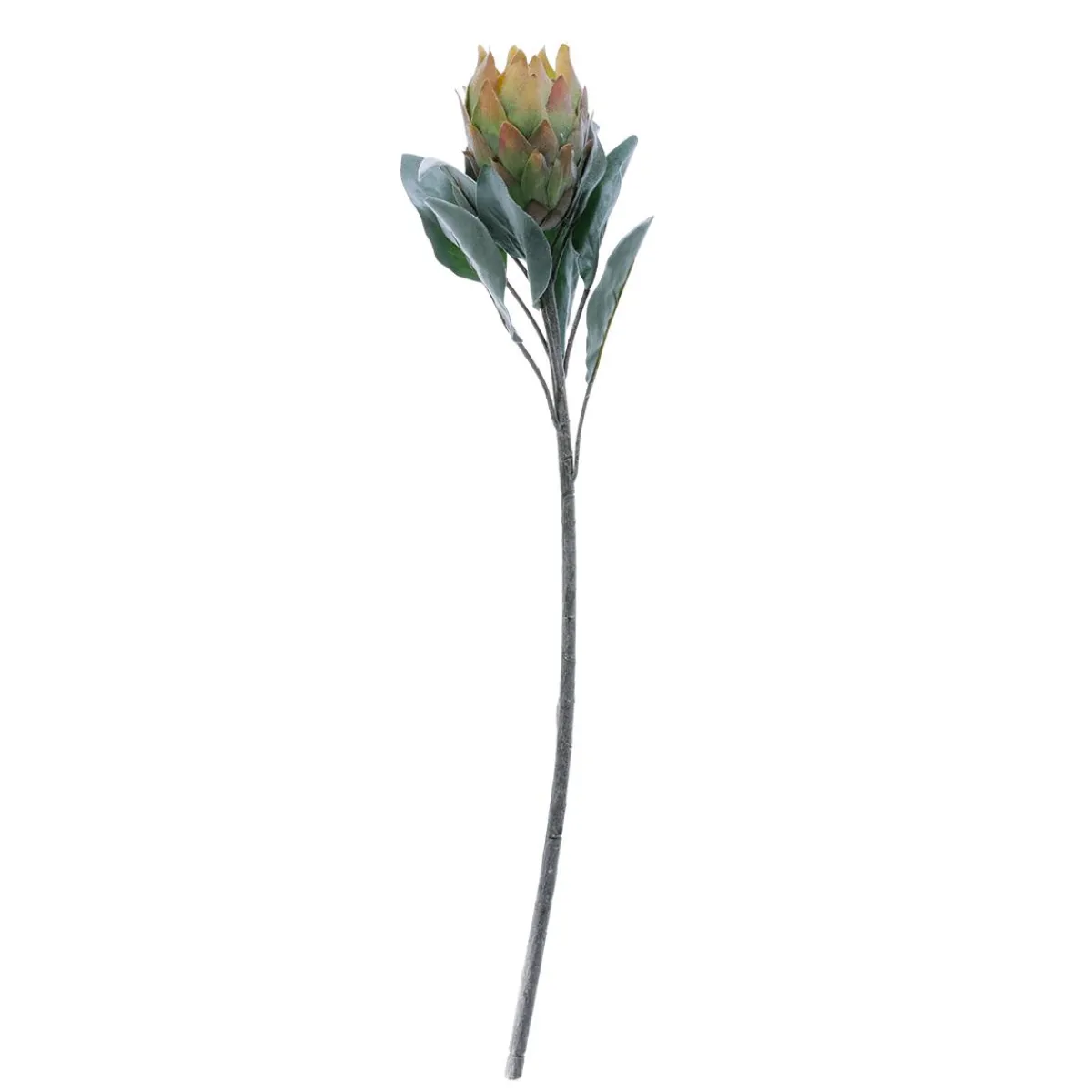 Fleur Artificielle Protea e, 72 Cm-DecoWoerner