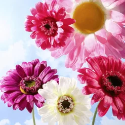 Fleur De Gerbera Géante Artificiell he-DecoWoerner Sale
