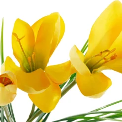 Fleurs Artificielles De Crocus, Set De 5, 30 X 10 Cm (hxl)-DecoWoerner Discount