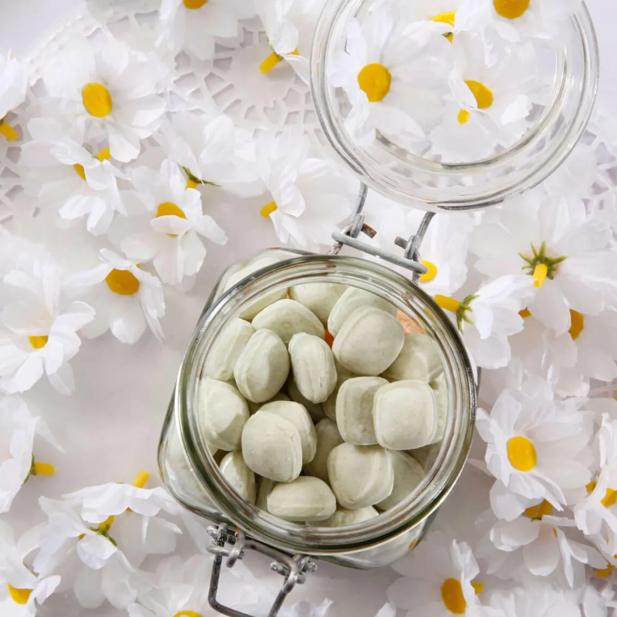 Fleurs Déco Marguerites, 72 Pces-DecoWoerner