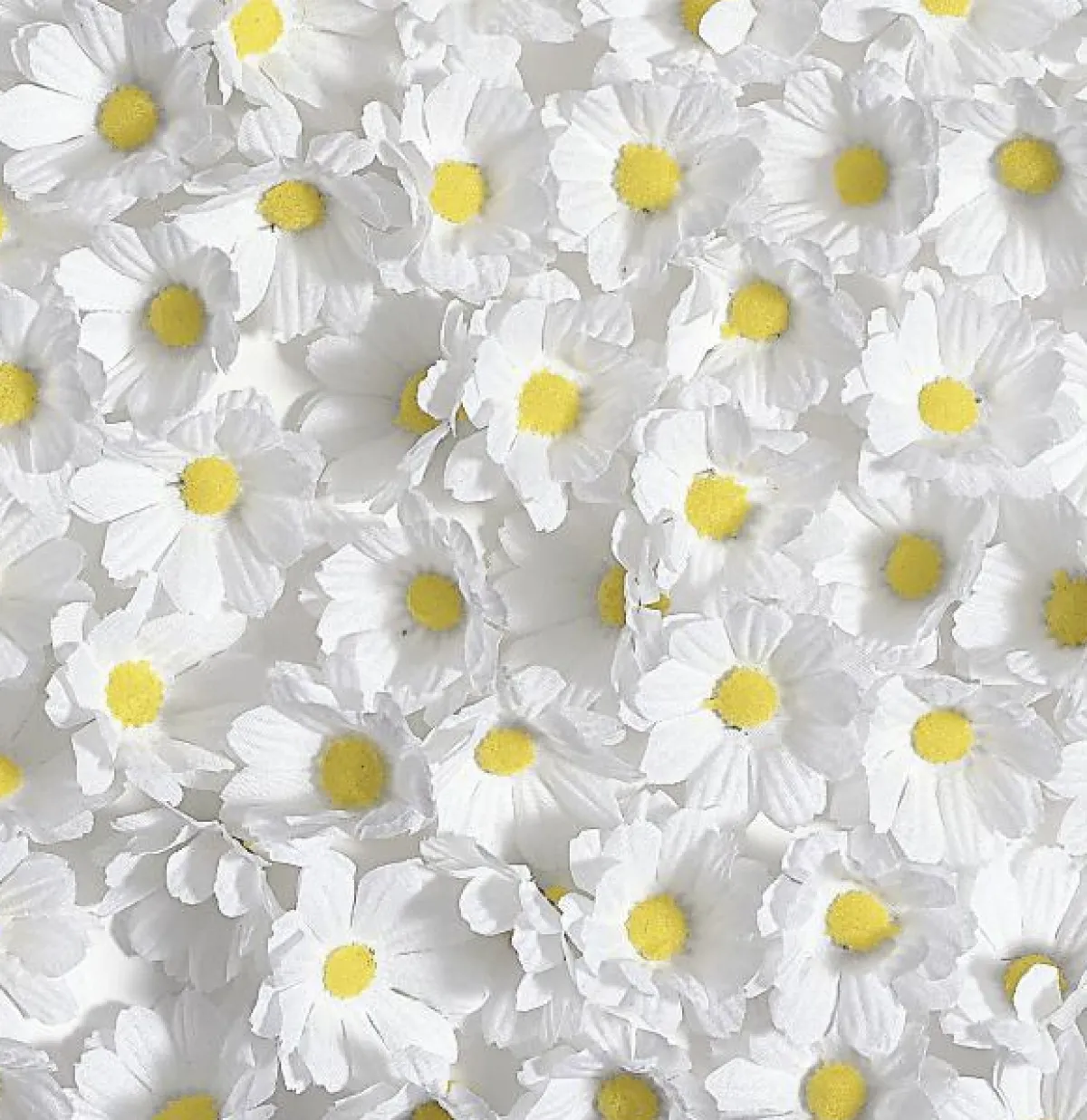 Fleurs Déco Marguerites, 72 Pces-DecoWoerner