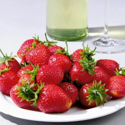 Fraises Aliment Factice 24 Pces-DecoWoerner Online